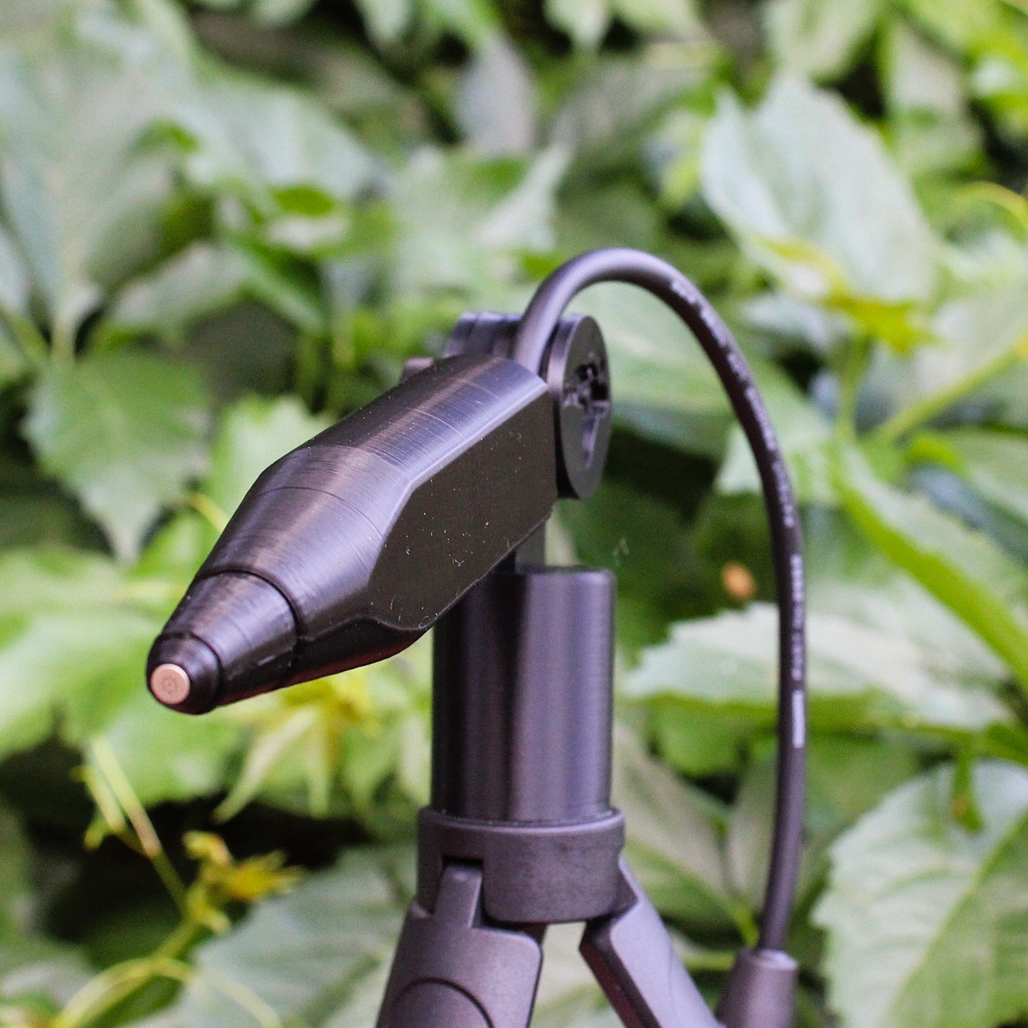 Toucan Ultrasonic Microphone